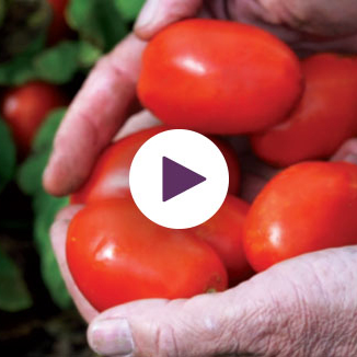 Meet Your Farmer: Field to Can