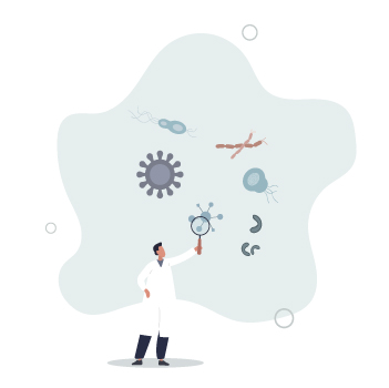 Illustration of cells