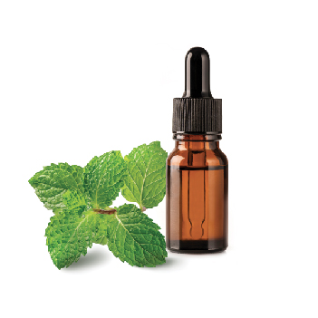 Image of peppermint oil and herbs