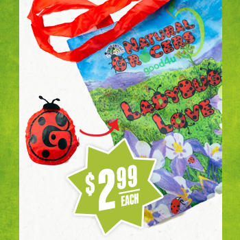 Purchase a Ladybug Love Zip Pouch  For every Ladybug Love Zip Pouch sold, Natural Grocers will donate $2 to Rodale Institute.