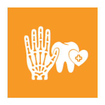 Illustration of bone and tooth health