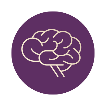 Illustration of a brain