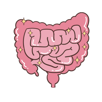 Illustration of a intestinal tract