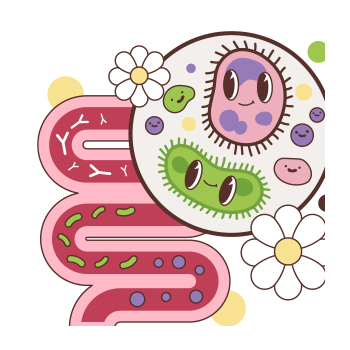 Illustration of a gut microbiome