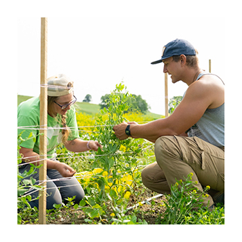 Rodale Institute Farmer Training (RIFT) Students working on a farm