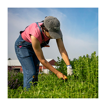Rodale Institute Farmer Training (RIFT) student learning