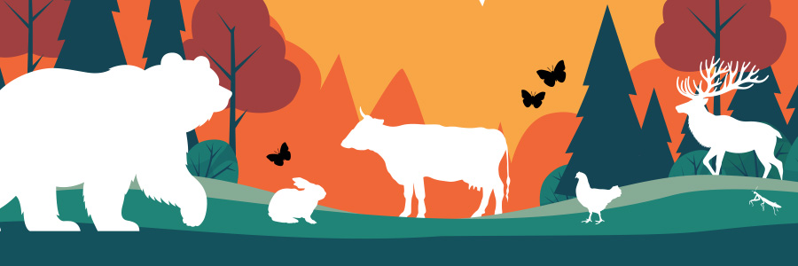 Illustration of diverse animals in wildlife