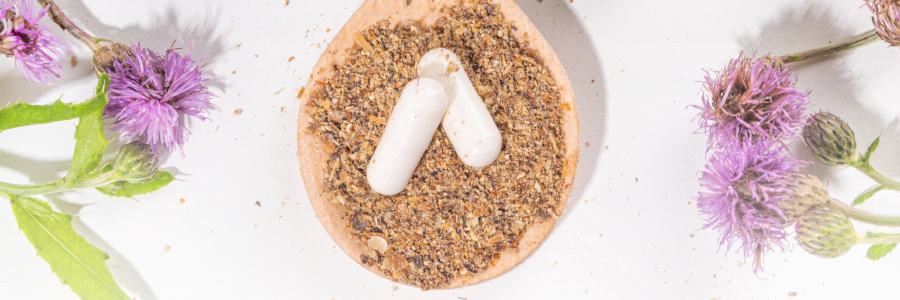 Image of a wooden spoon with herbs and capsules surrounded by milk thistle plants