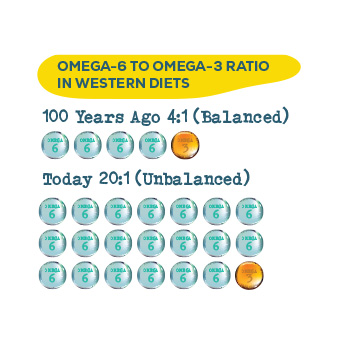 Infographic showing Omega-6 to Omega-3 Ratio in Western Diets
