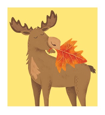 Meet Magnus the Moose