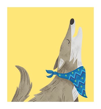 Meet Carlita the Coyote