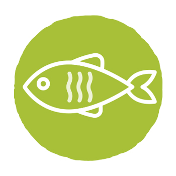 EPA and DHA From Fish Oil Can Help Your Pet In A Multitude of Ways