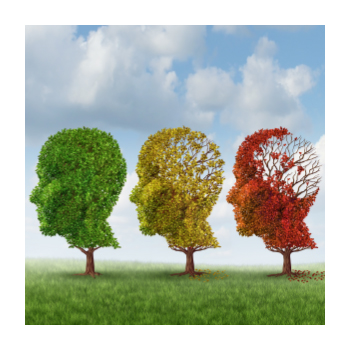 Trees trimmed to the shape of the profile of of a head 