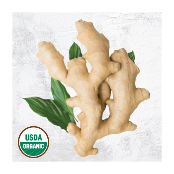 For The Love of Organics: Ginger