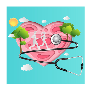 Cardiovascular Health Starts with Good Vascular Health