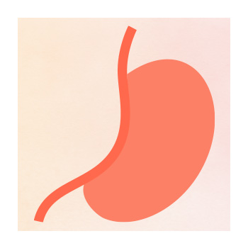 Illustration of GI tract