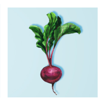 Beetroot