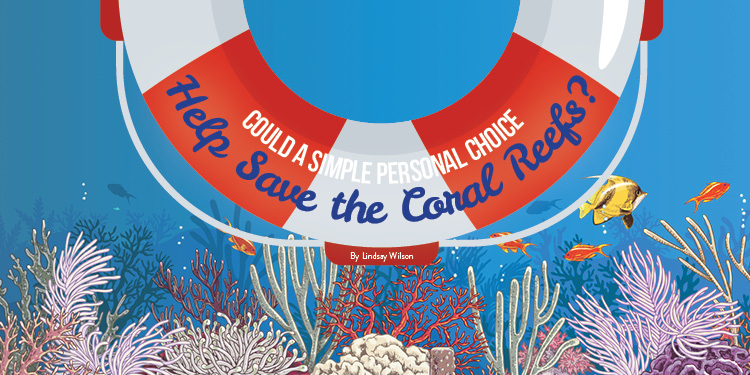 Coral Reef Feature Image