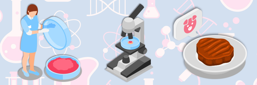 Illustration of cultivated meat in a petri dish and under a microscope