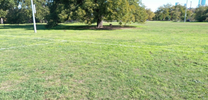 Beyond Pesticides McCormick Park