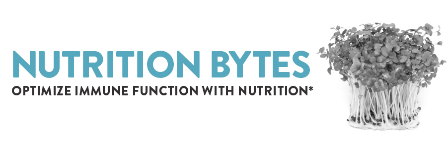 Nutrition Bytes