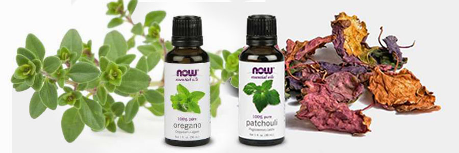 Essential Oils Feature 1