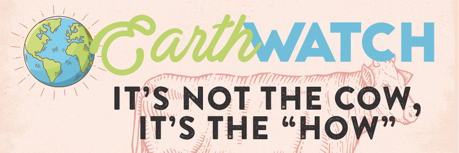 Earth Watch Featured Image