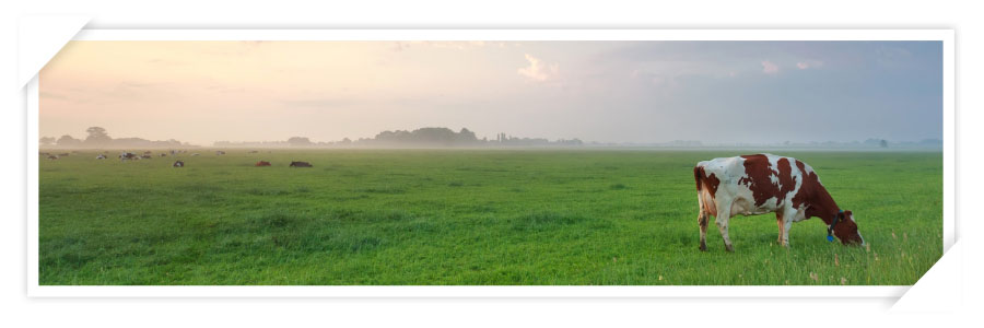 Earth watch featured image 2