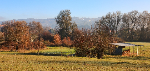 blog_true_cost_of_conventional_agriculture