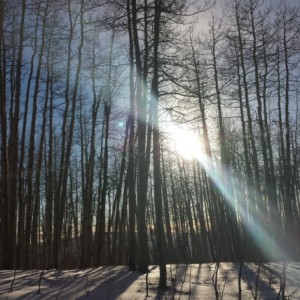 blog_simple_ways_to_stop_winter_blues