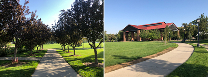 Pesticide Free Roosevelt Park