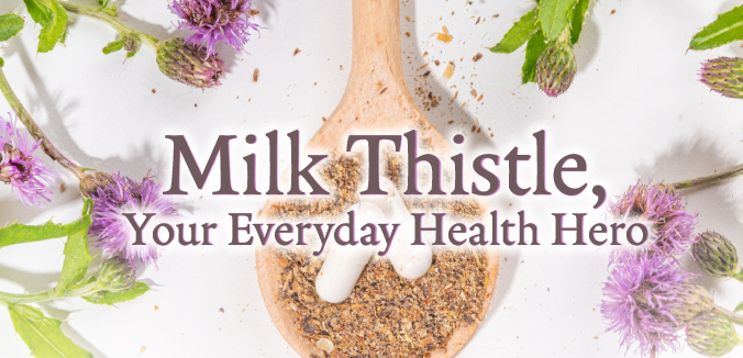 Milk Thistle, Your Everyday Health Hero
