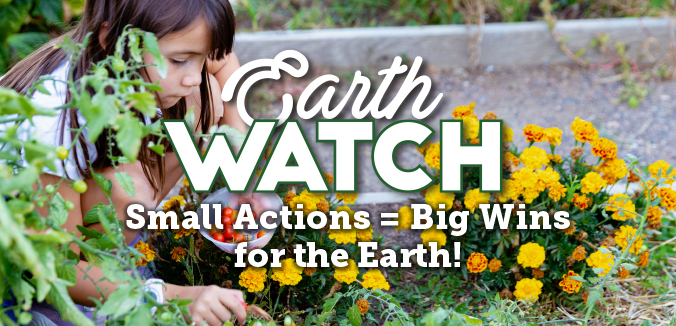 Earth Watch: Small Actions = Big Wins for the Earth!