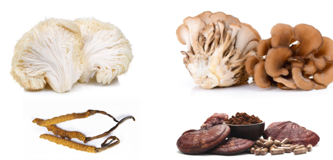 The Mushroom Health Boom
